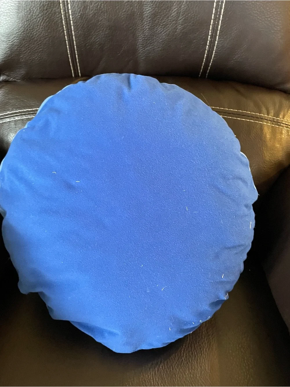 Plush Blue Dinosaur Accent Pillow - Cute Stegosaurus Design